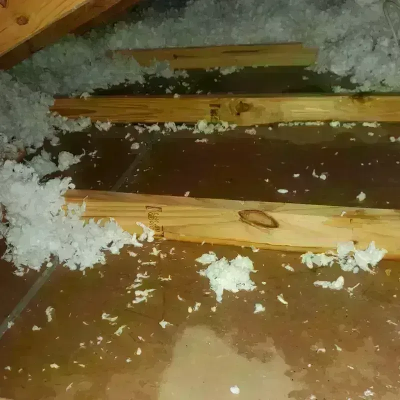 Attic Water Damage in Tigard, OR