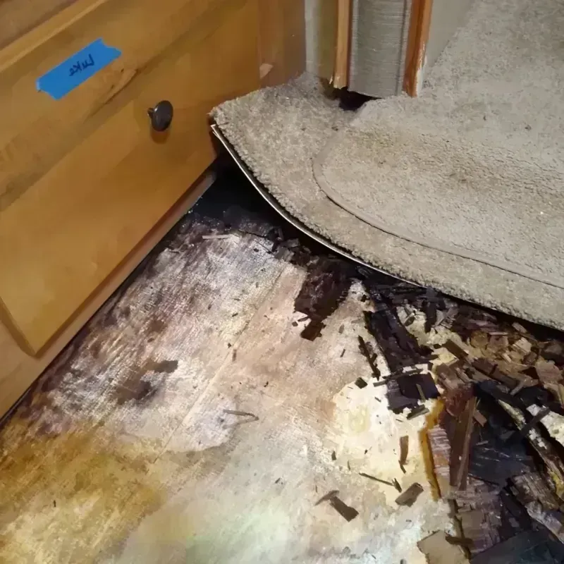 Wood Floor Water Damage in Tigard, OR